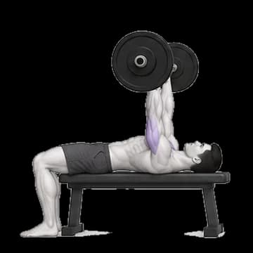 Bench Press (Bar) hareketinin uygulanışı